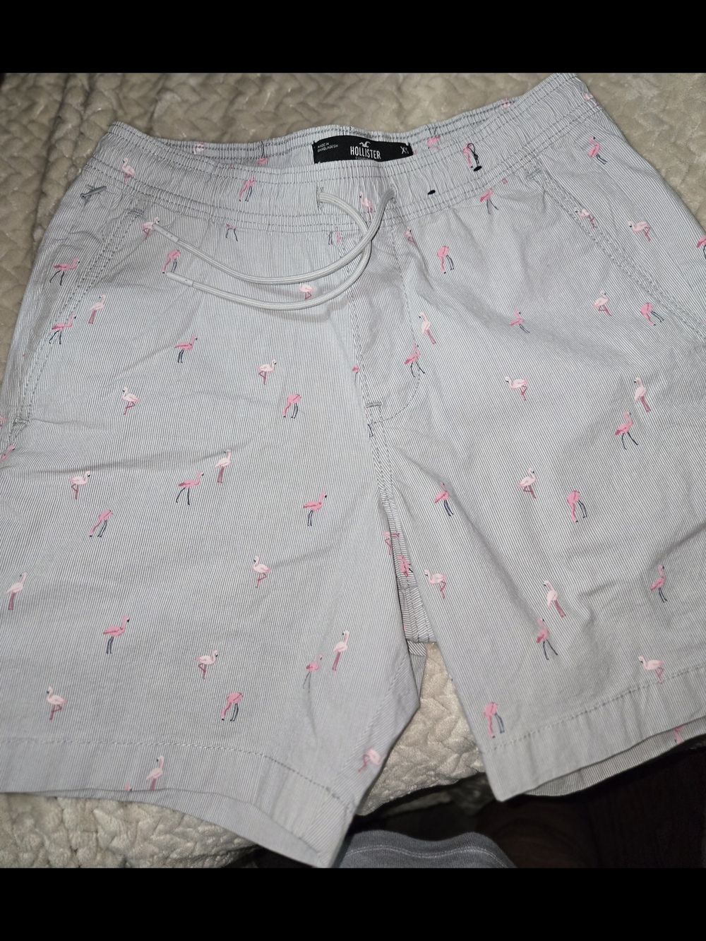 Hollister Light Gray Men’s Shorts with Pink Flamingo Embroidery
